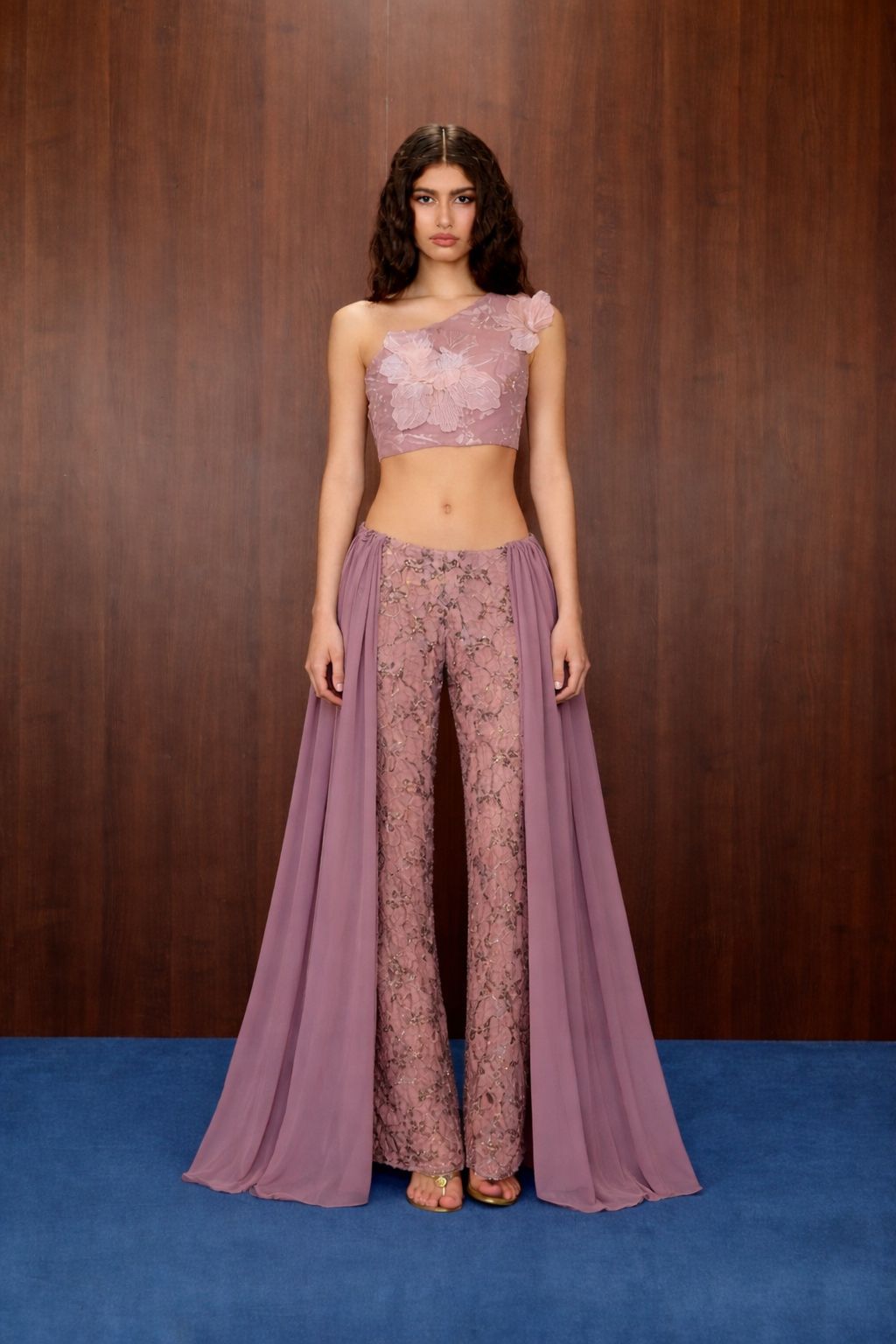 Embroidered Lace Set — Chiffon Variation I